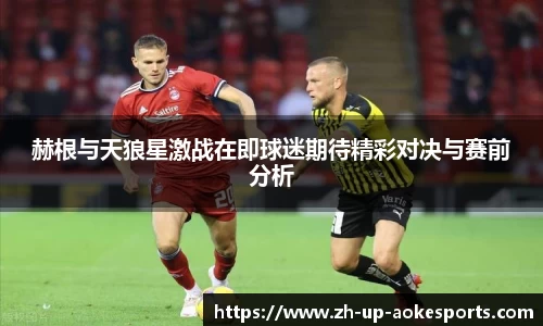 赫根与天狼星激战在即球迷期待精彩对决与赛前分析