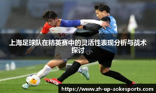 上海足球队在精英赛中的灵活性表现分析与战术探讨